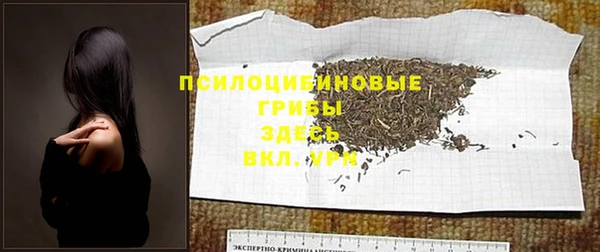 спиды Алексин