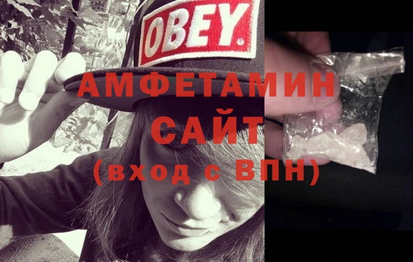индика Алзамай