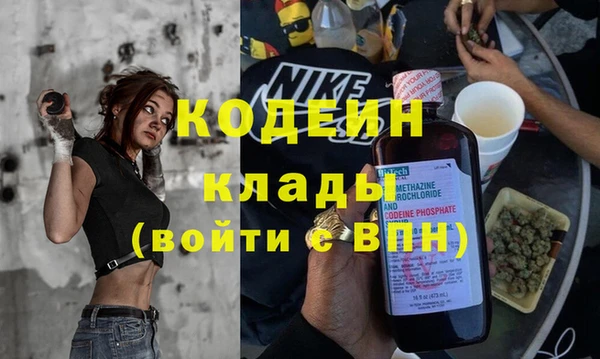 индика Алзамай