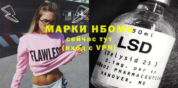 индика Алзамай