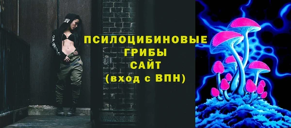спиды Алексин